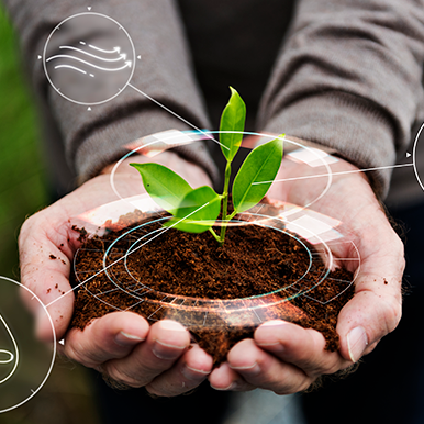 Ícone Gestão Ambiental